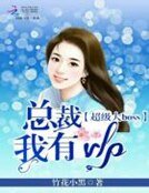 超级大BOSS:总裁我有VIP