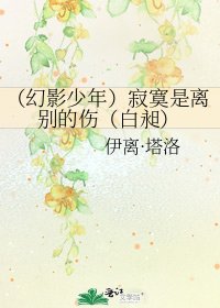 (幻影少年)寂寞是離別的傷(白昶)