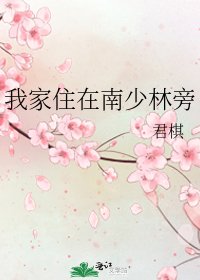 我家住在南少林旁