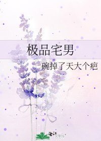 极品宅男