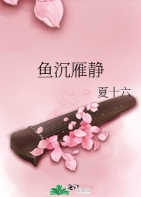 鱼沉雁静